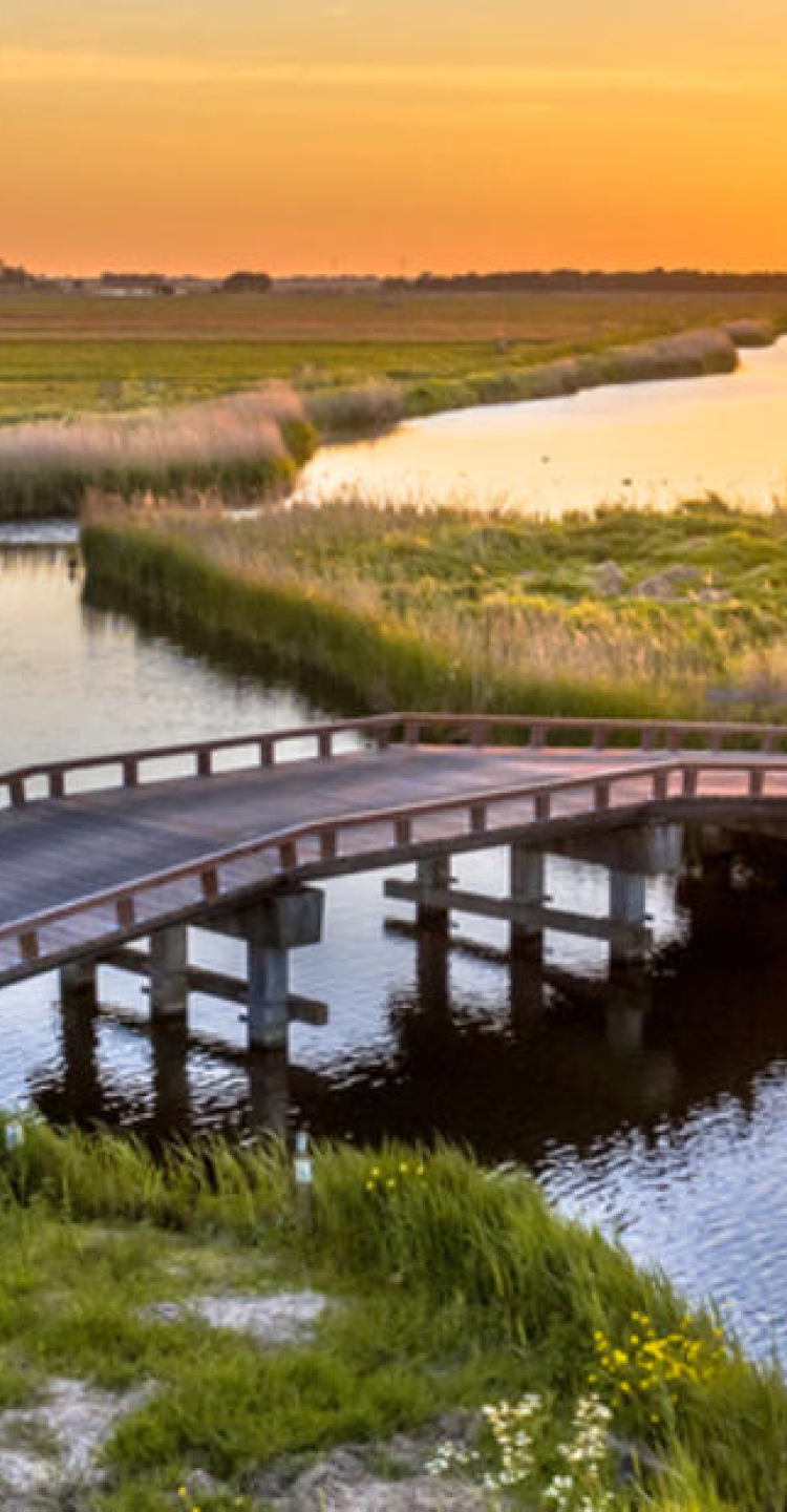 Zaanstreek Waterland foto